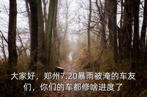 大家好，鄭州7.20暴雨被淹的車友們，你們的車都修啥進度了
