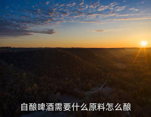 自釀啤酒需要什么原料怎么釀