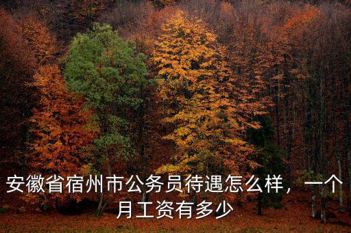 宿州市公務員一月多少工資,一個月工資有多少