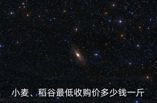 安徽蒙城麥子價格多少錢一斤,當一斤麥子價格不如一斤水