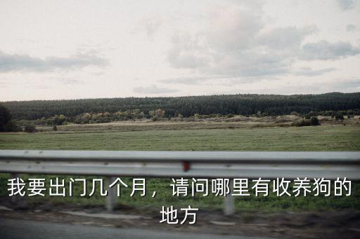 自貢哪里有收養(yǎng)狗狗的地方,請問哪里有收養(yǎng)狗的地方