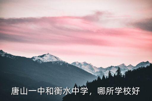 唐山一中和衡水中學，哪所學校好