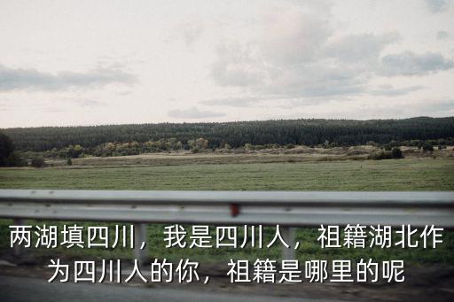 趙亮是成都哪里人呢,諸葛亮到底是哪里人呢