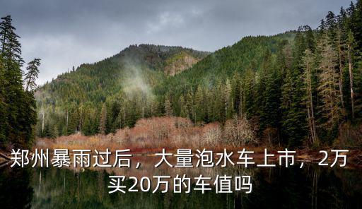 鄭州暴雨過后，大量泡水車上市，2萬買20萬的車值嗎