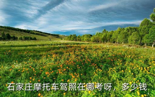 河北石家莊現在考車本多少錢,在石家莊考駕照需要多少錢