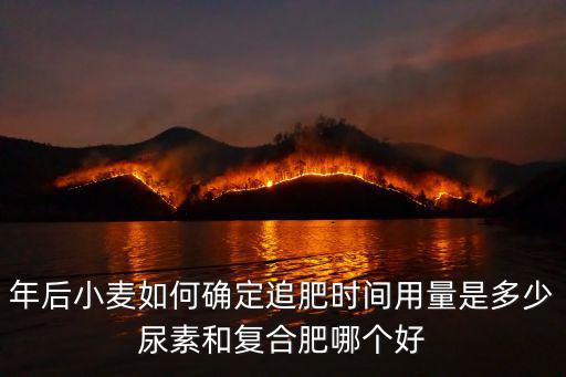 年后小麥如何確定追肥時間用量是多少尿素和復合肥哪個好