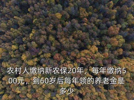 農村人繳納新農保20年，每年繳納500元，到60歲后每年領的養老金是多少