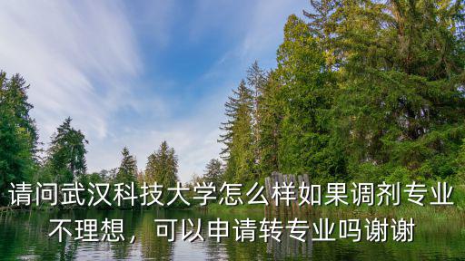武漢科技大學航空專業怎么樣,請問武漢科技大學怎么樣