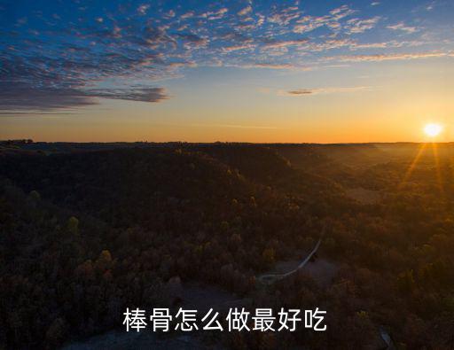 棒骨怎么做最好吃