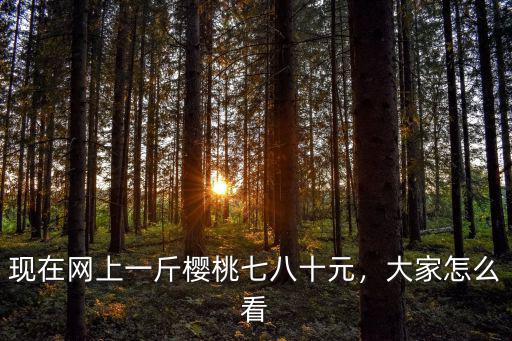 安徽大棚櫻桃多少一斤,現在網上一斤櫻桃七八十元