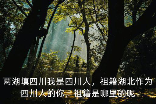 四川龍姓祖籍是哪里,祖籍是哪里的呢