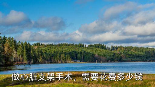 河北省保定市心臟支架多少錢,一個心臟支架多少錢