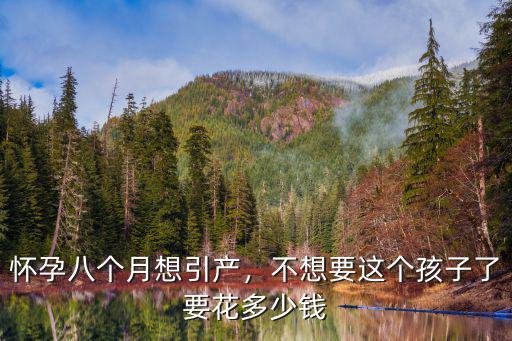 銅陵引產需要多少錢,不想要這個孩子了要花多少錢