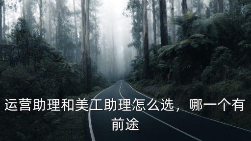 運營助理和美工助理怎么選，哪一個有前途