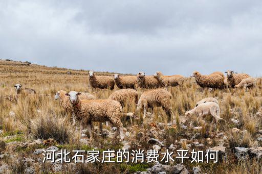 河北石家莊的消費(fèi)水平如何