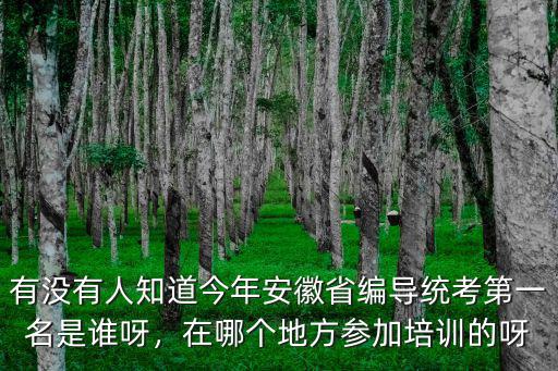 有沒有人知道今年安徽省編導統考第一名是誰呀，在哪個地方參加培訓的呀