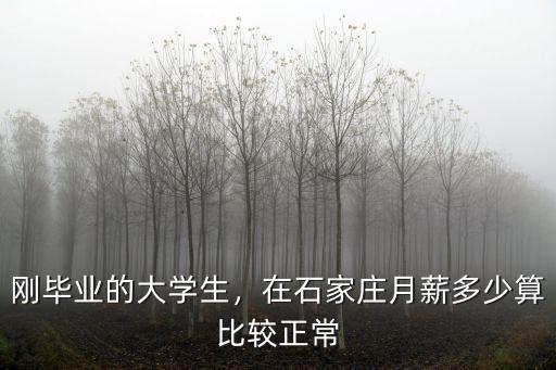 石家莊的大學生有多少錢一個月多少錢,在石家莊月薪多少算比較正常