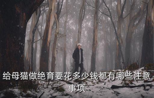 廊坊貓絕育手術多少錢,母貓做絕育手術多少錢