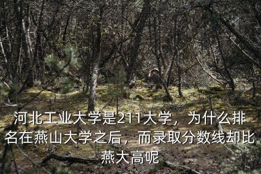 河北工大歷屆多少分?jǐn)?shù)線,河北工業(yè)大學(xué)錄取分?jǐn)?shù)線不低