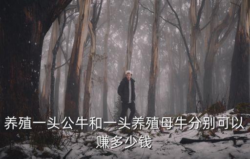養殖一頭公牛和一頭養殖母牛分別可以賺多少錢