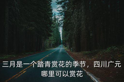 達州三月哪里看花,6月份達州什么景區可以看花