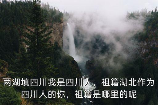 兩湖填四川我是四川人，祖籍湖北作為四川人的你，祖籍是哪里的呢
