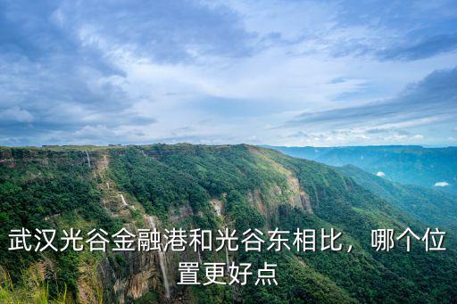 智聯招聘武漢金融港公司怎么樣,武漢小米公司待遇怎么樣