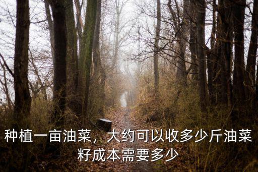 種植一畝油菜，大約可以收多少斤油菜籽成本需要多少