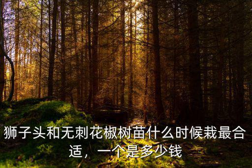 河北獅子頭花椒苗多少錢一棵,一棵大概多少錢