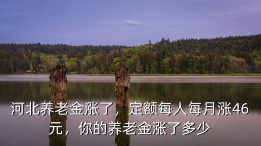 河北養(yǎng)老金漲了，定額每人每月漲46元，你的養(yǎng)老金漲了多少