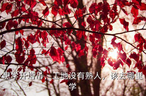 南充哪里學塔吊,哪里有學開塔吊的
