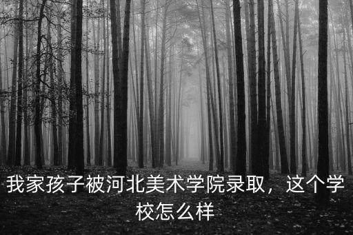 河北美術學院一學期學費多少,我家孩子被河北美術學院錄取