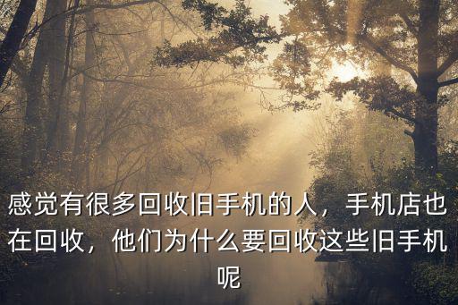 廣元哪里有收手機的店,手機店也在回收