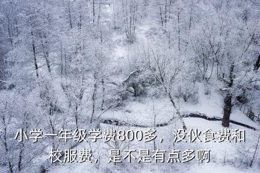 淮南小學一年級學費多少,小學一年級學費800多