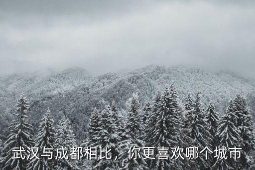 武漢與成都相比，你更喜歡哪個城市
