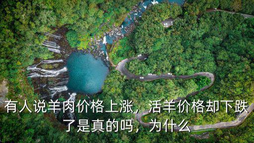 宿州活羊價格是多少,活羊價格卻下跌了是真的嗎