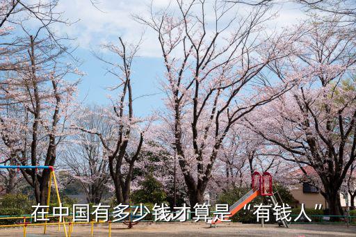 在中國有多少錢才算是“有錢人”