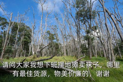 成都擺地?cái)傄m子哪里進(jìn)貨,擺地?cái)傎u襪子