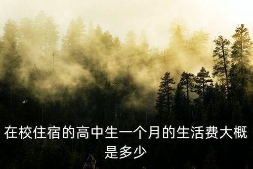 在校住宿的高中生一個月的生活費大概是多少
