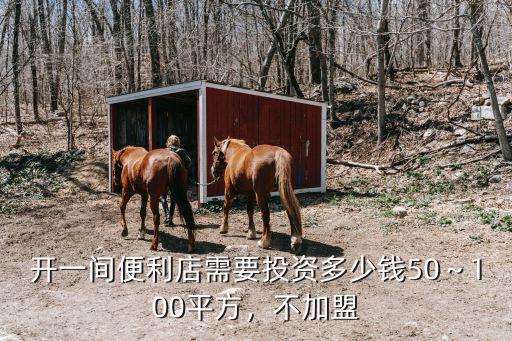 開一間便利店需要投資多少錢50～100平方，不加盟