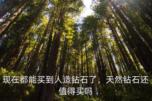 在哪里買(mǎi)到河南人造鉆石,現(xiàn)在都能買(mǎi)到人造鉆石了