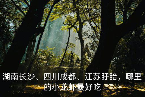 湖南長沙、四川成都、江蘇盱眙，哪里的小龍蝦最好吃