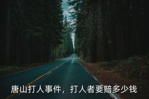 唐山打人事件，打人者要賠多少錢