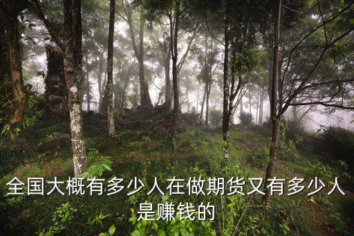 全國大概有多少人在做期貨又有多少人是賺錢的