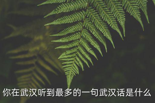 你在武漢聽到最多的一句武漢話是什么