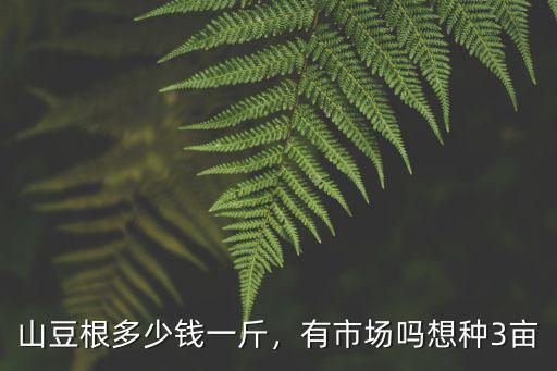 亳州土豆種價格多少錢一斤,紅皮土豆多少錢一斤