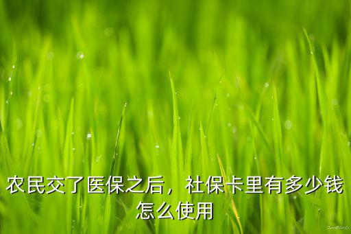 河北社保中醫保卡里有多少錢,社保卡里有多少錢