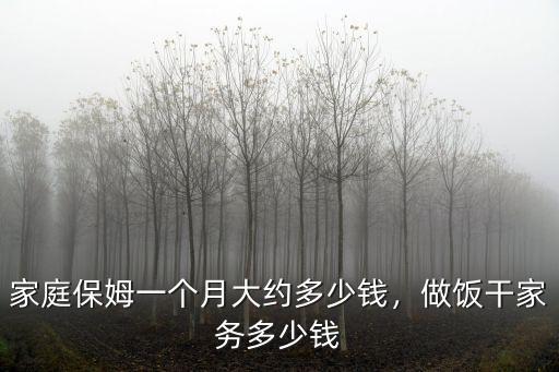 六安燒飯阿姨一個月多少錢,家庭保姆一個月大約多少錢