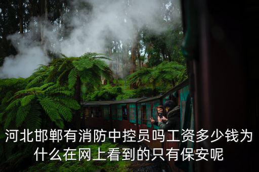 河北邯鄲有消防中控員嗎工資多少錢為什么在網上看到的只有保安呢