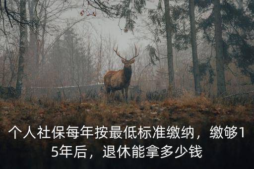 個人社保每年按最低標準繳納，繳夠15年后，退休能拿多少錢
